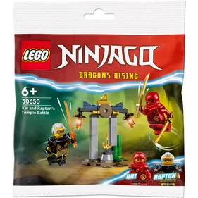 LEGO 30650 Ninjago Dragons rising