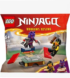 LEGO Disney Moana s Dolphin Cove 30646
