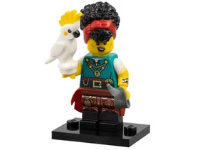 Pirate Quartermaster 10